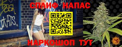 ECSTASY Бийск
