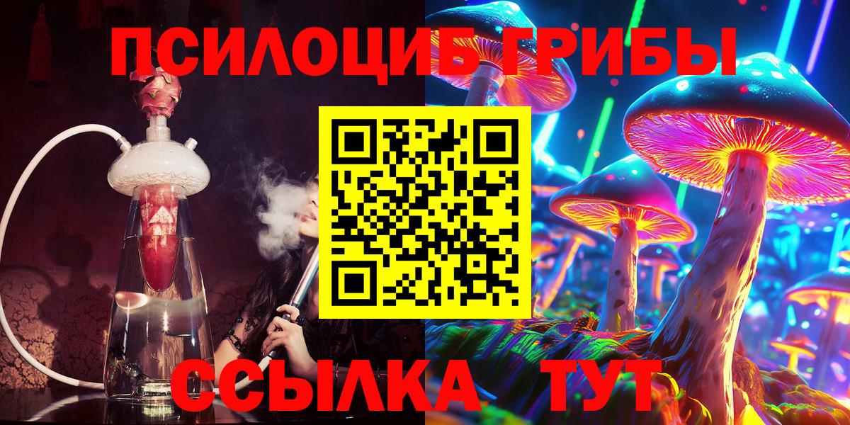 Зеленодольск  Псилоцибиновые грибы Psilocybine cubensis  наркота  Псилоцибиновые грибы мицелий  Вход с VPN 